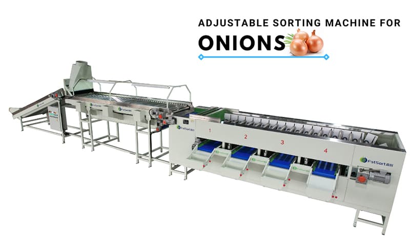 images/1675938968622onion grader.jpg